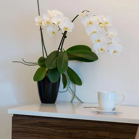 The Originals City, Le Coeur D'or, Sedan Est 3* Douzy